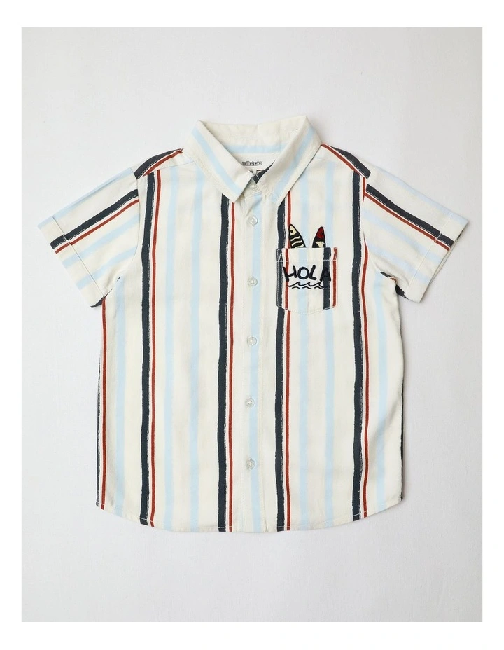 Linen Shirt in Blue/Brown Stripe image 1