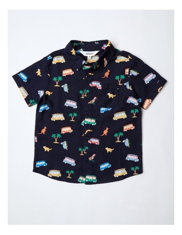 Navy colour