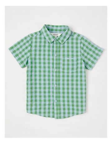 Green colour