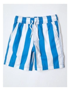 Volley Short in Blue Stripe