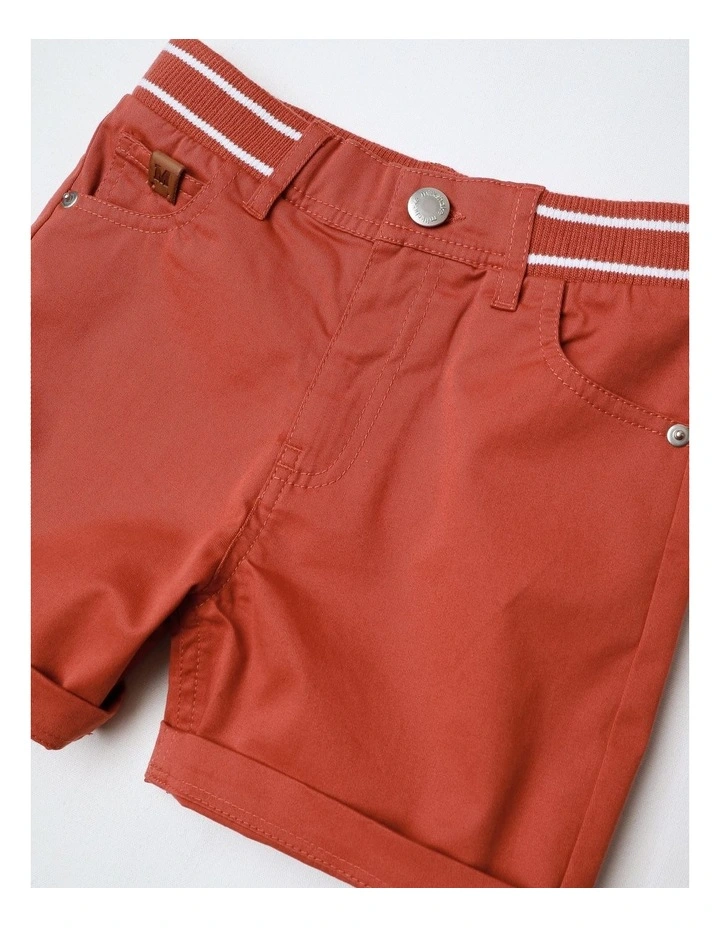 Stretch Chino Short in Rust image 2