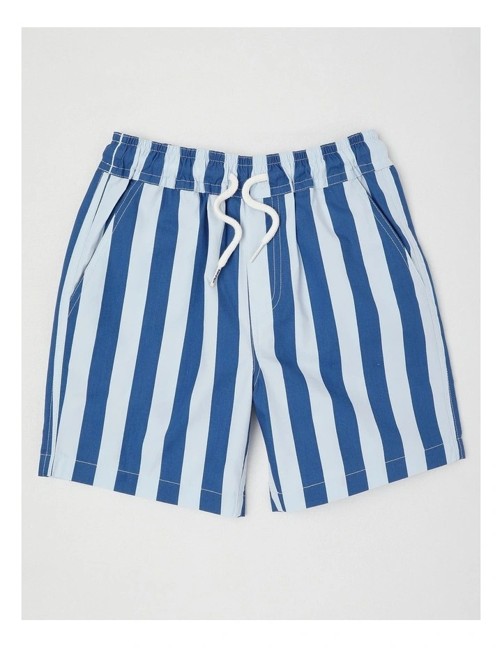 Woven Volley Short in Blue/Navy Stripe image 1