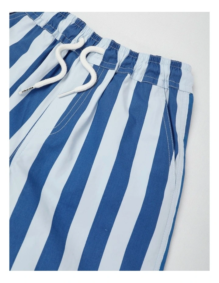 Woven Volley Short in Blue/Navy Stripe image 2