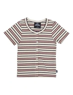 Stripe Button Up Rib in Stripe