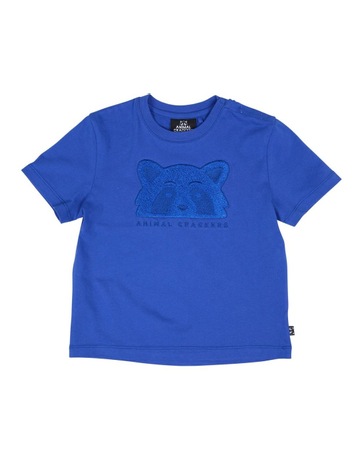 Electric Blue colour
