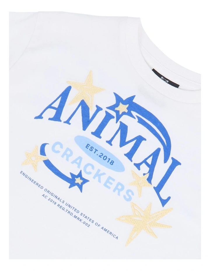Star Power Tee in Vintage White image 4