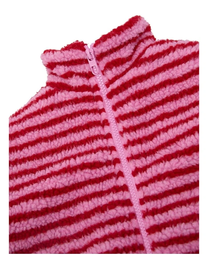 Whistler Jacket in Stripe image 4