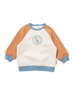 Raglan Jumper in Multi