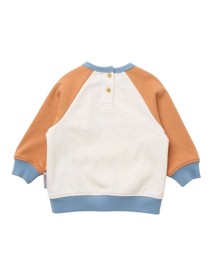 Raglan Jumper in Multi image 2