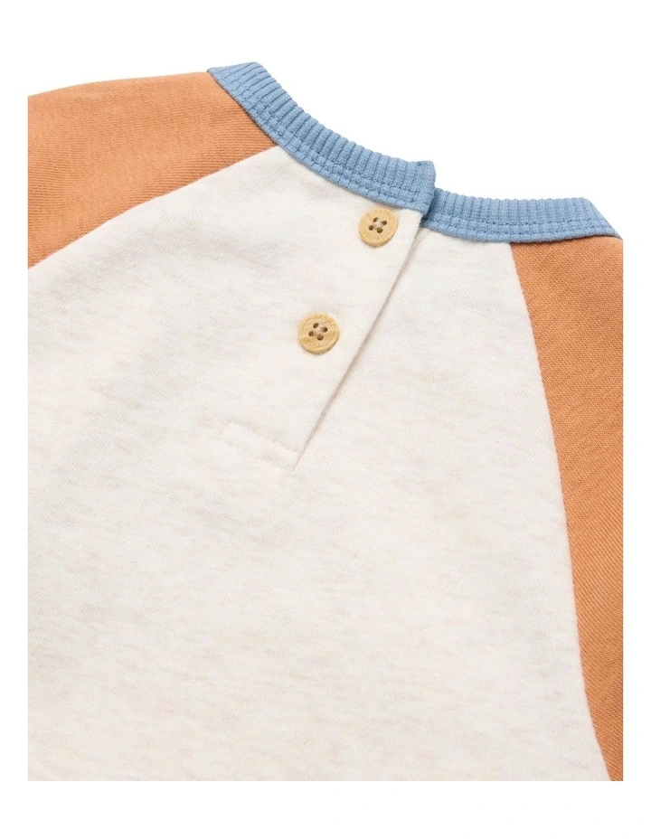 Raglan Jumper in Multi image 4