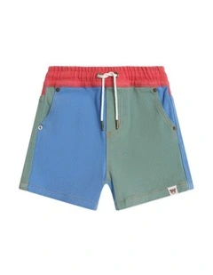 Vintage Denim Shorts in Multicolour