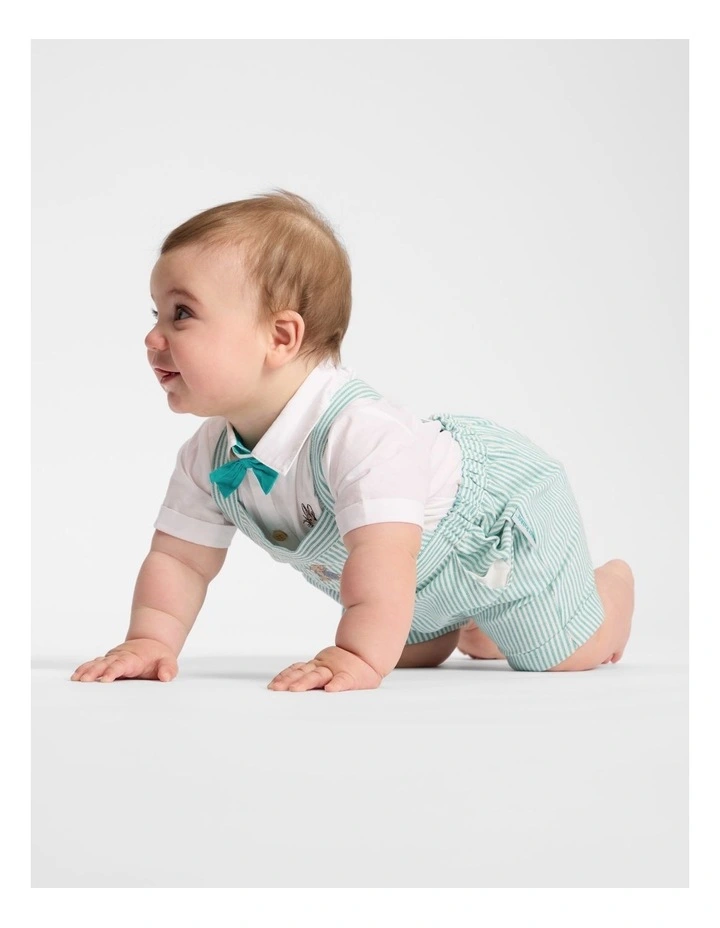 Shorts Overall in Green image 4