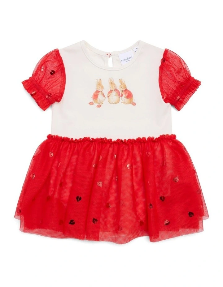 Tutu Dress in Multi image 1