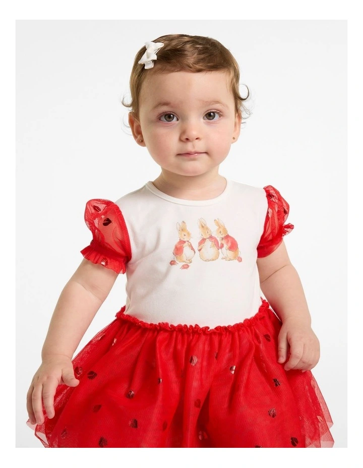 Tutu Dress in Multi image 3