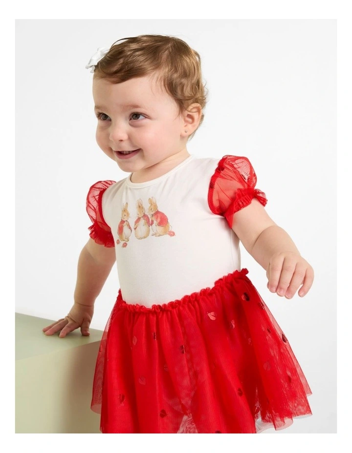 Tutu Dress in Multi image 4