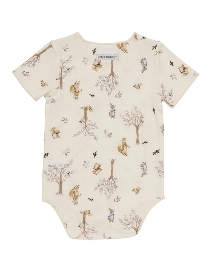 Bodysuit 2 Pack in Multi image 6