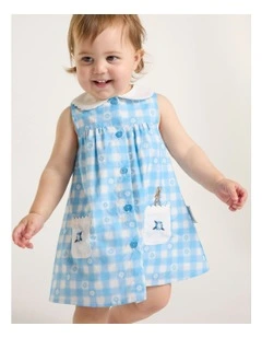 Peter Rabbit Check Dress