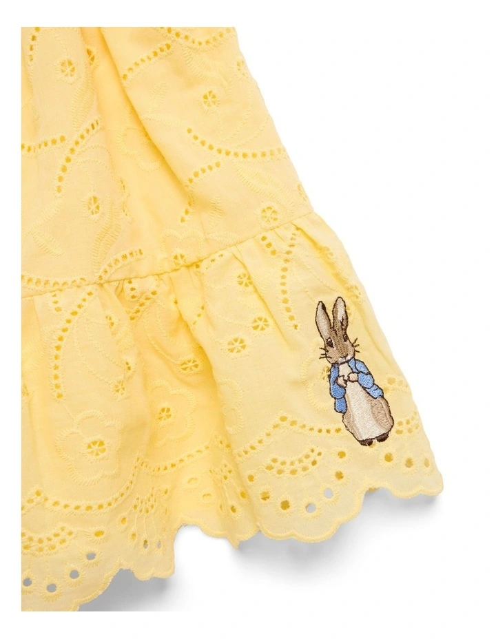 Broderie Lace Dress in Yellow image 4