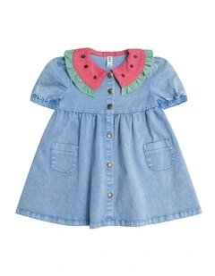 I Carried a Watermelon Denim Dress in Blue