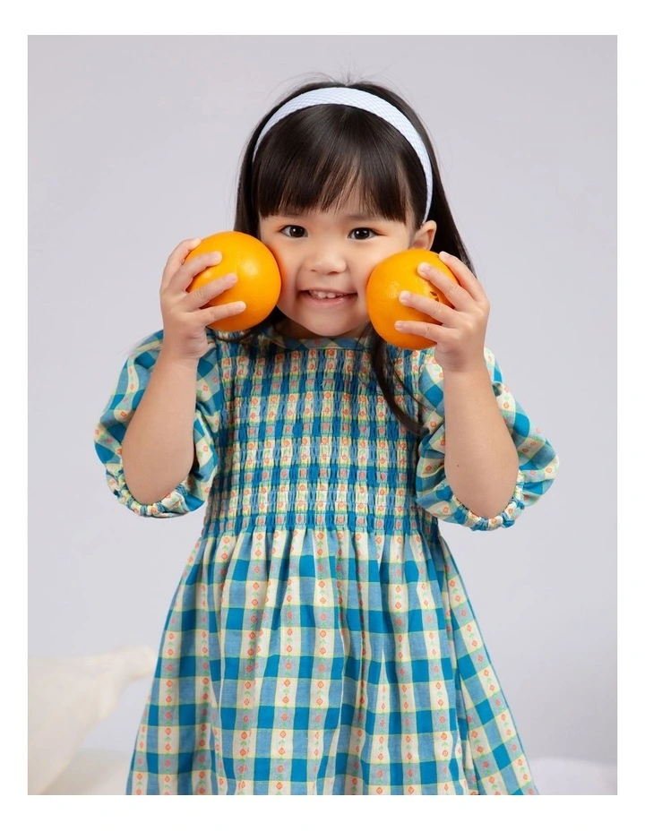 Summer Picnic Dress in Check image 2