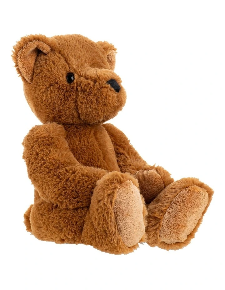 Theodore First Teddy Plush c.1902 Medium image 1