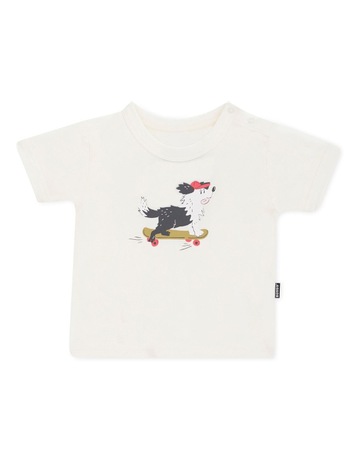 Zoo_Cruising Cane colour