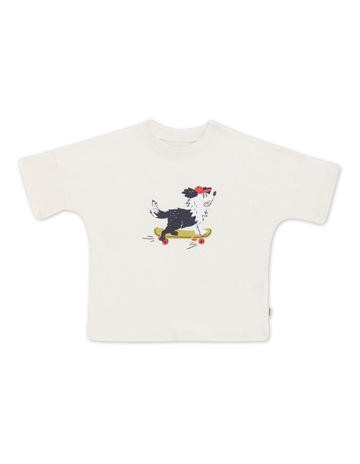 Zoo_Cruising Cane colour