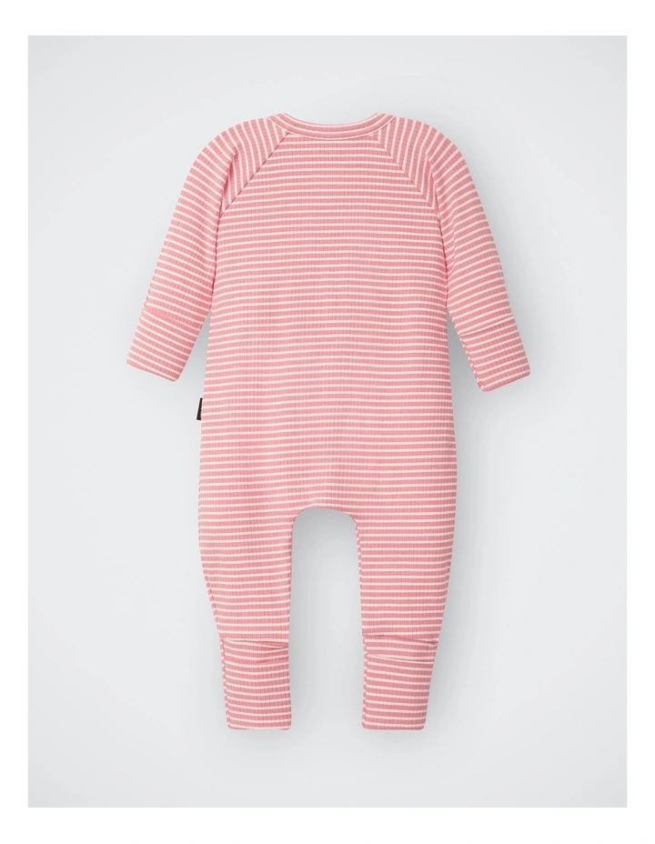 Baby Newbies Wide Needle Rib Zippy in Stripe Jra image 2