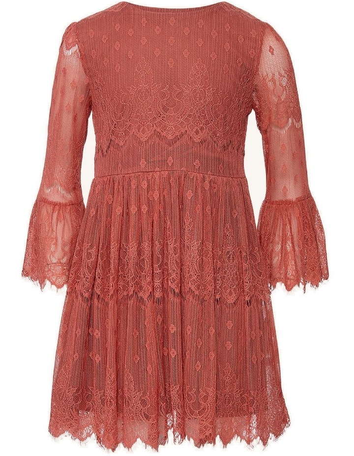 Lianni Lace Dress Dusty Rose