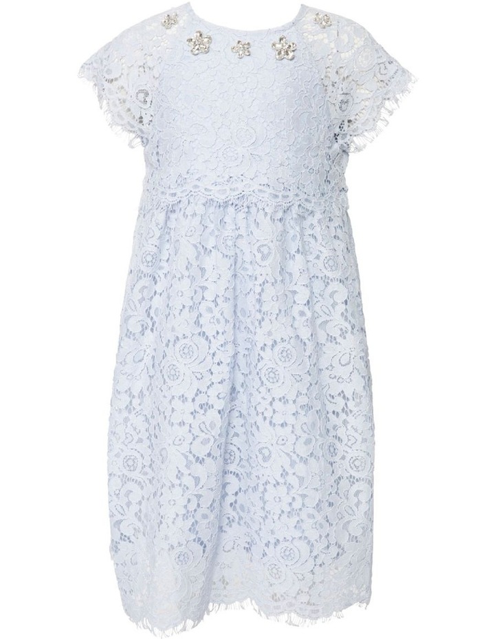 Maisie Lace Dress