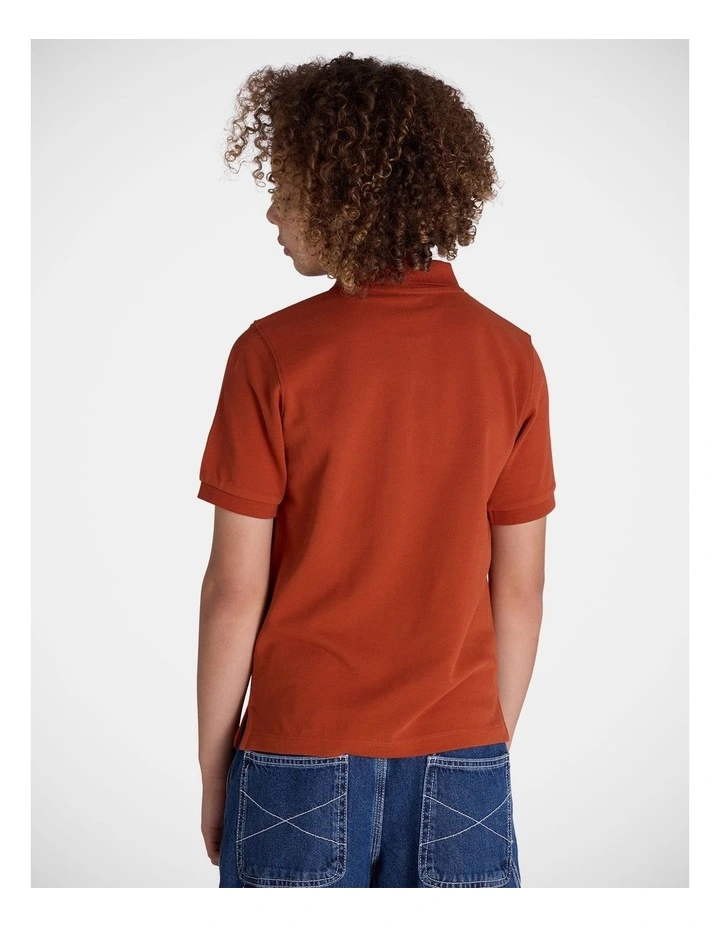 Script Polo image 2