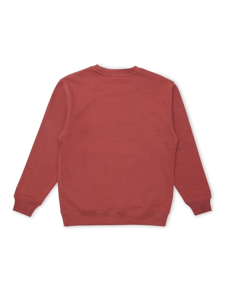 Graphic Shop Pullover in Chred_Sandalwood Red image 2