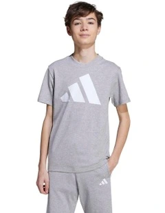 Essentials T-shirt in Grey