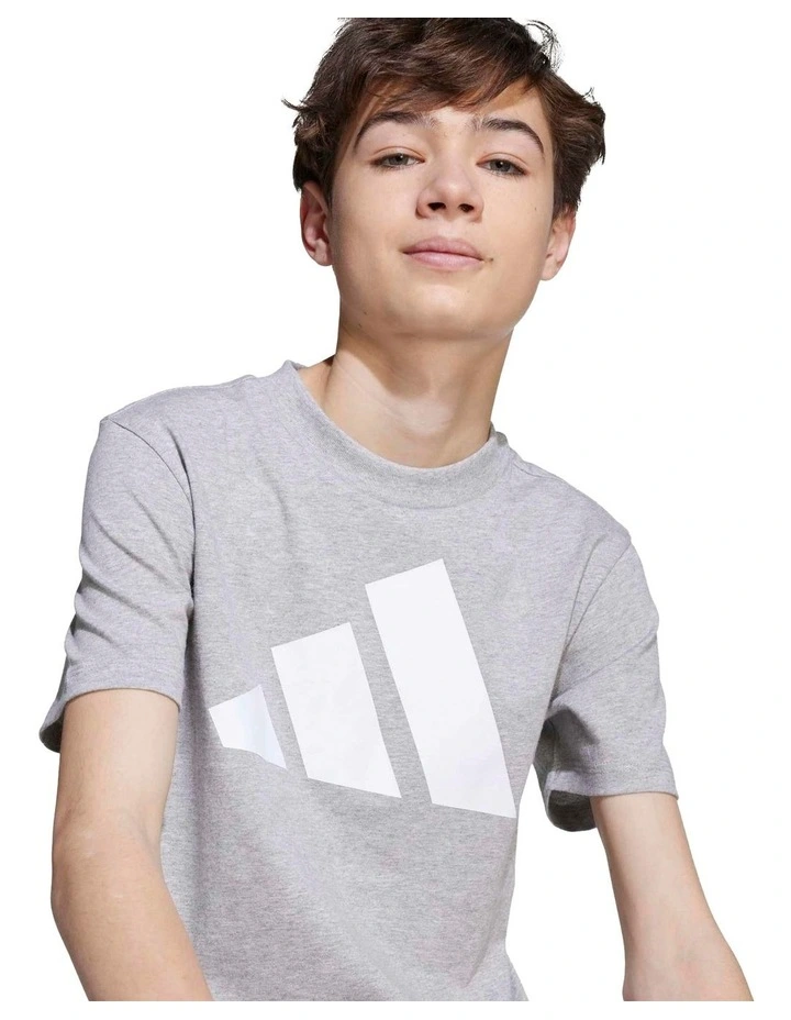 Essentials T-shirt in Grey image 4