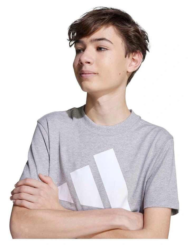 Essentials T-shirt in Grey image 5