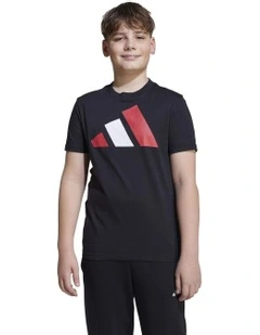 Essentials T-shirt in Black