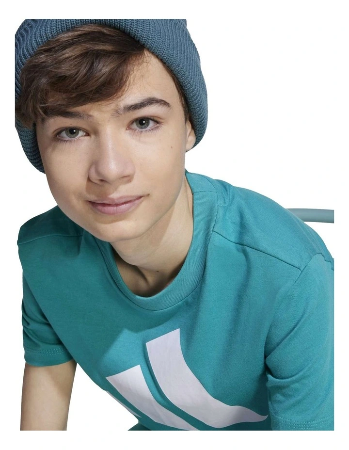 Essentials T-shirt in Green image 4