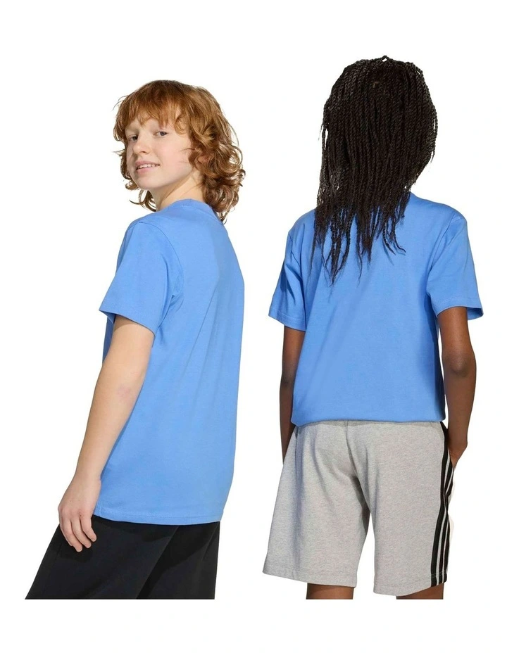Essentials T-shirt in Blue image 7