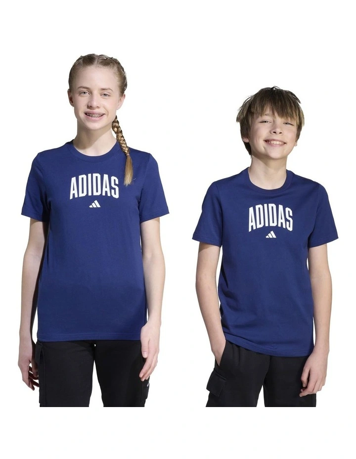 Collegiate Graphic T-shirt in Blue image 6