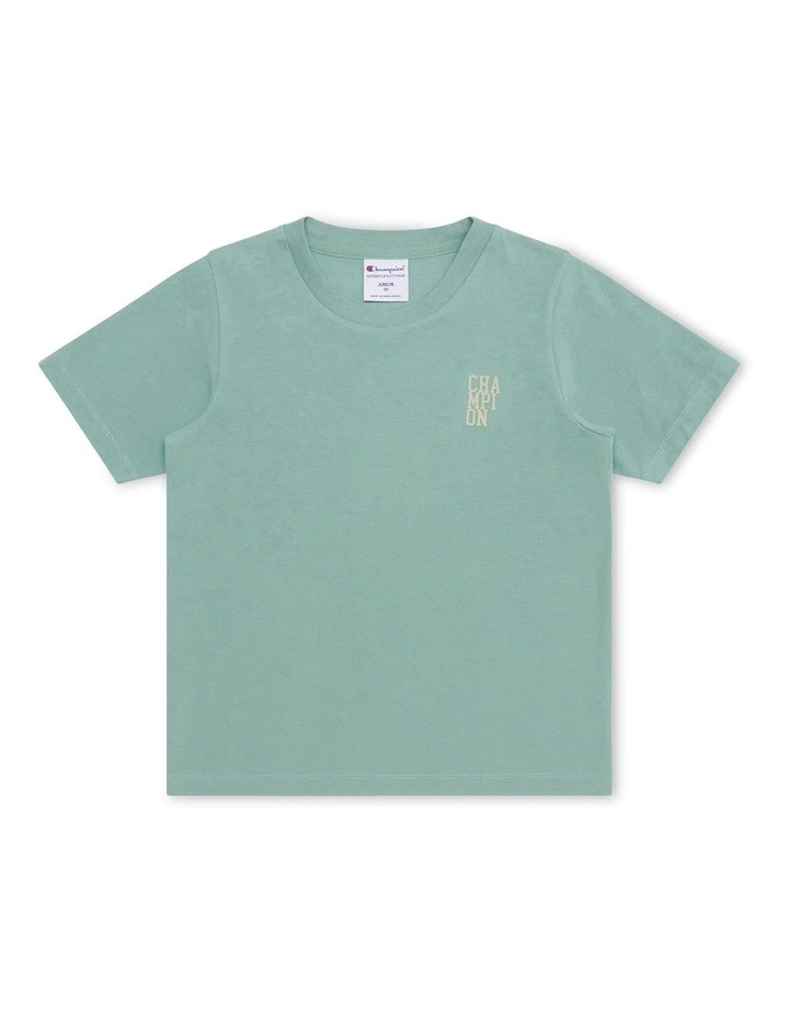 Rochester Base Tee in Blue image 1