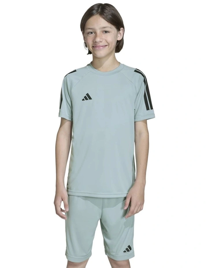 Sereno T-shirt in Wonder Sage/Black image 1