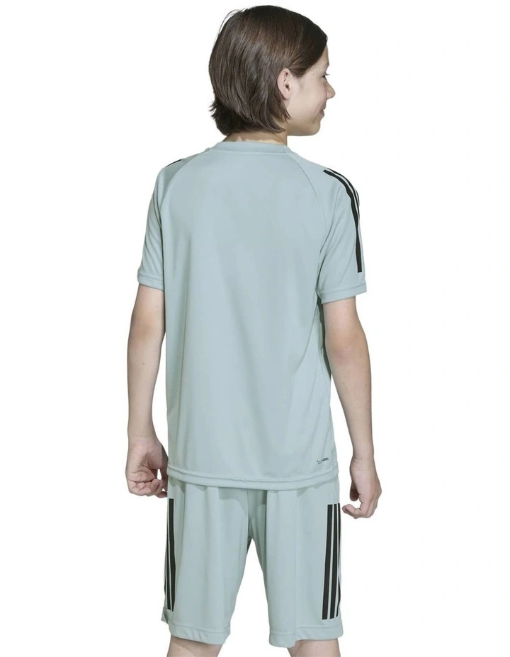 Sereno T-shirt in Wonder Sage/Black image 2