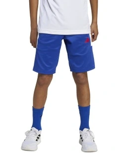 House of Tiro shorts in Blue