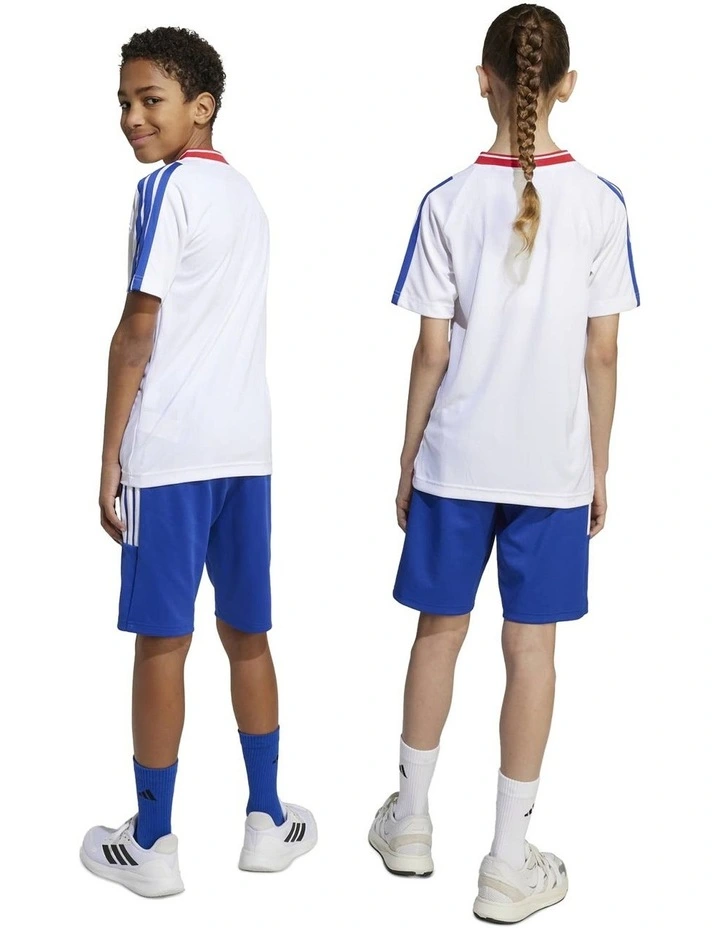 House of Tiro shorts in Blue image 7