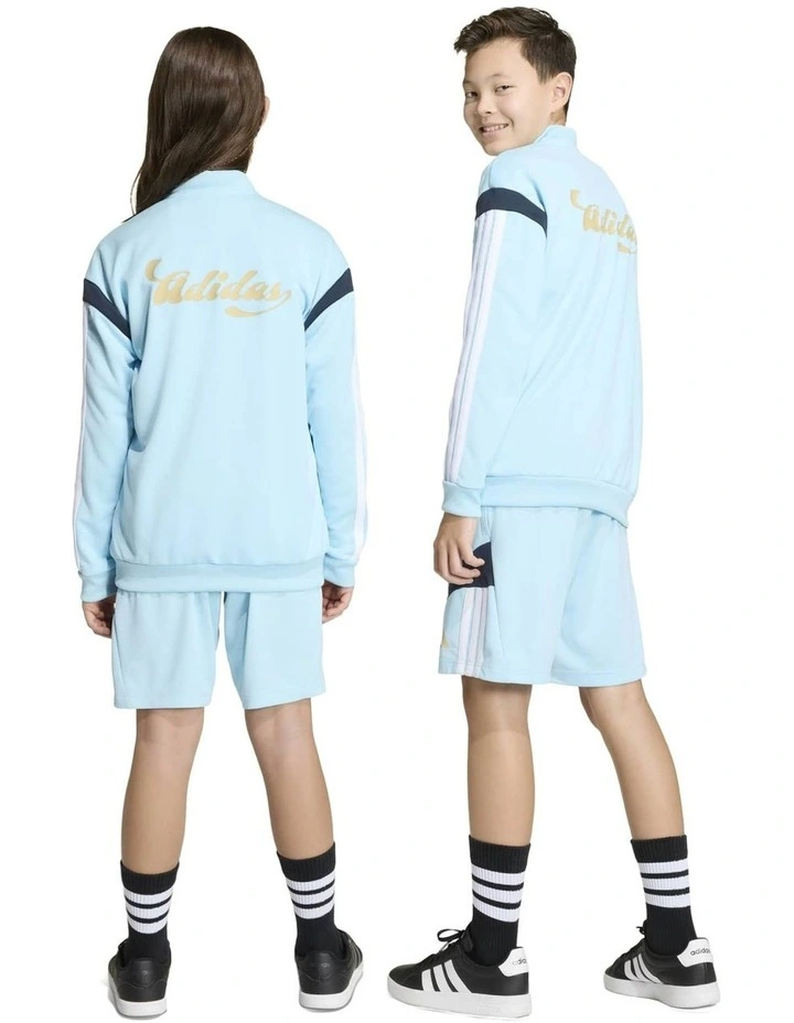 House of Tiro Shorts in Blue image 7