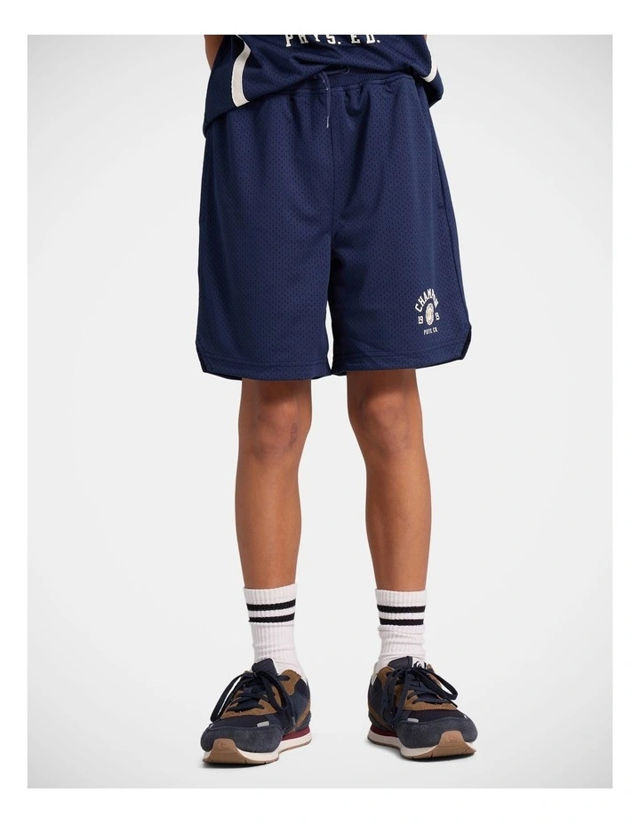 Mesh Basketball Shorts image 1