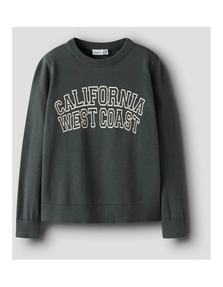 Tamlin Printed Cotton Sweatshirt in Charcoal image 3
