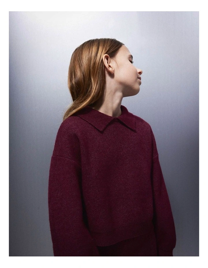 Sonia Polo Knit in Burgundy image 1
