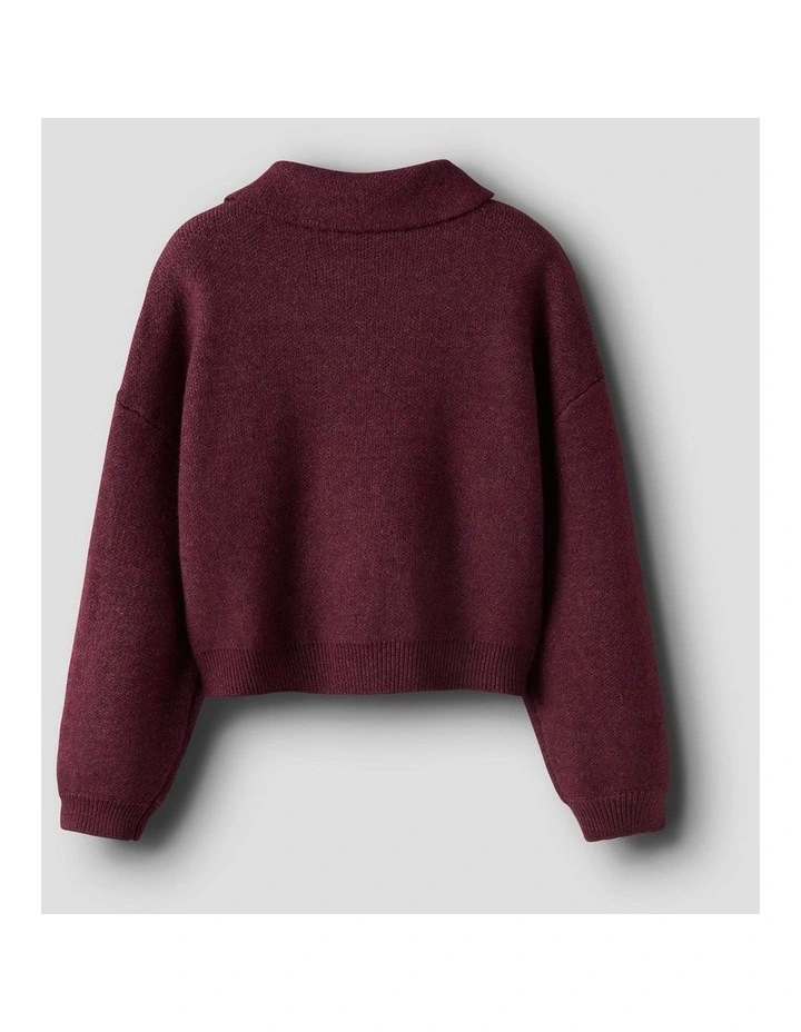 Sonia Polo Knit in Burgundy image 2