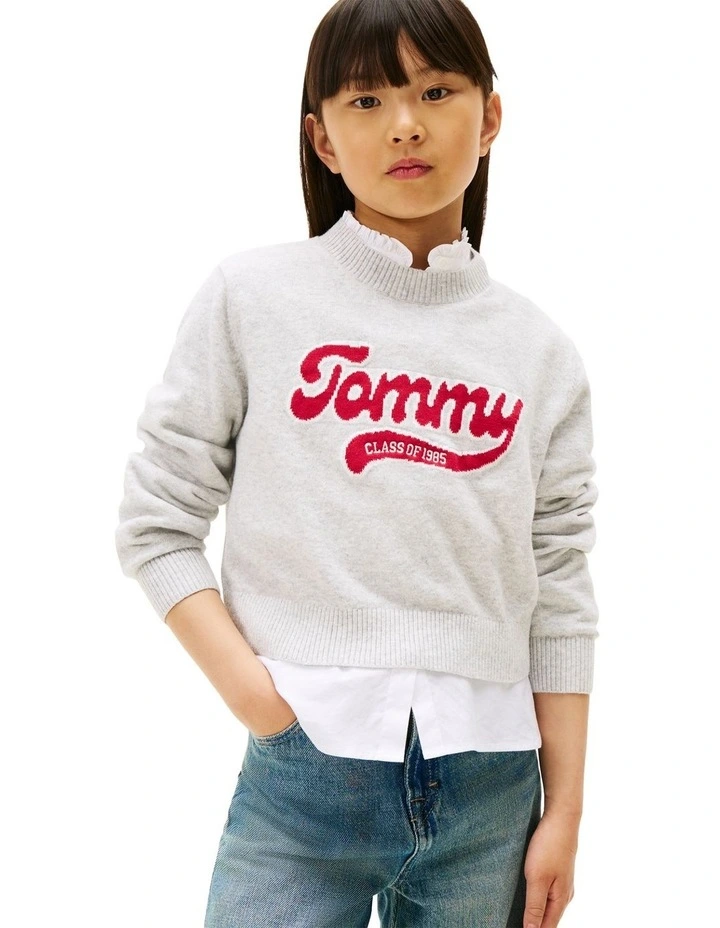 Varsity Intarsia Logo Jumper (8-16 Years) in Grey image 1